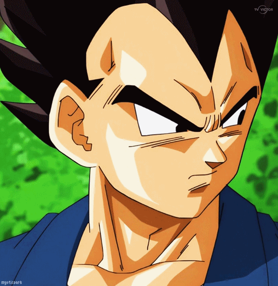 vegeta saying kakarot