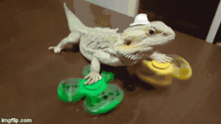 brawl stars leon gif brawl stars leon gif