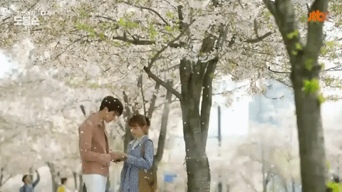 Цветение вишни в Сеуле — где посмотреть (Корея — 2021)