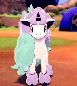 ponyta teddy