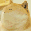 Featured image of post View 18 Floppa Gif Pfp