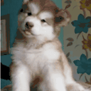 Kingdom Hearts Qr Codes π Animal Crossingπ Amino