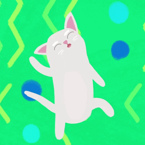 Танцующий кот гифка