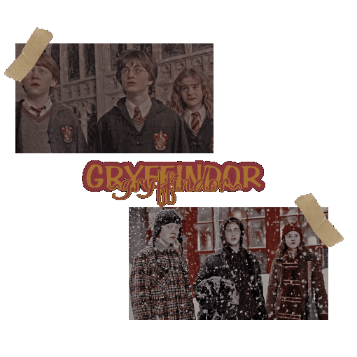 Harry Potter Wiki 【⚡ 】—uᥒιvᥱrso Pottᥱrhᥱᥲd Amino 2164