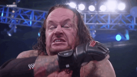 Undertaker vs sting.