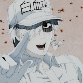 Lot Cells At Work Hataraku Saibou Amino