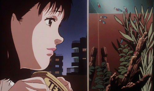 Illusions That Kill ~ A Deep Dive into Perfect Blue | Anime Amino